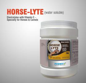 Horse Lyte