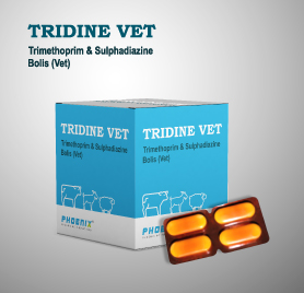TRIDINE VET