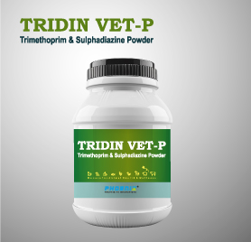 TRIDIN VET P