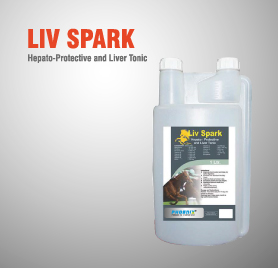 Liv Spark