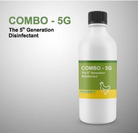 COMBO - 5G