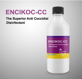 ENCIKOC - CC