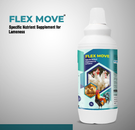 FLEXMOVE