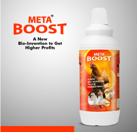 META BOOST