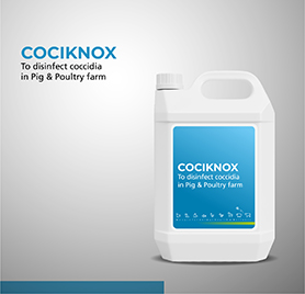 COCIKNOX