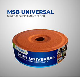 MSB UNIVERSAL