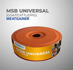 MSB UNIVERSAL META GAINER