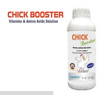 Chick Booster