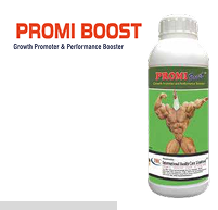 Promi Boost