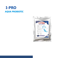 I-PRO