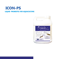 Icon-PS
