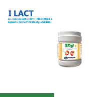 I Lact