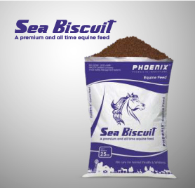Sea Biscuit