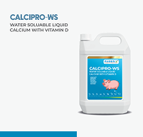 Calcipro-WS
