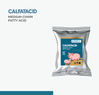 Calfatacid
