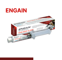 Engain