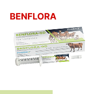 Benflora