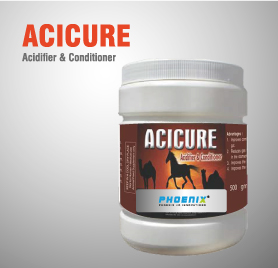 Acicure