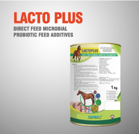 Lacto Plus