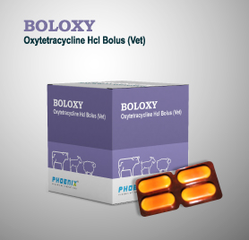 BOLOXY